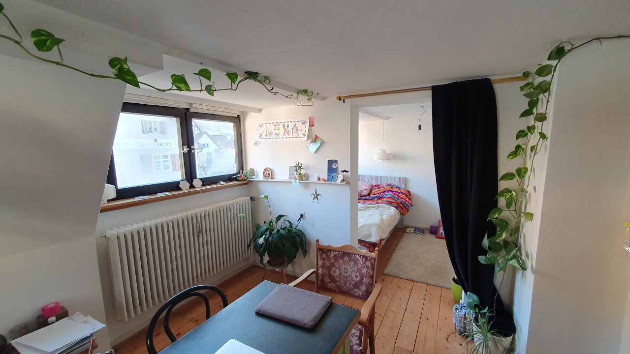 MFH + EFH mit Garage, Scheune & Garten