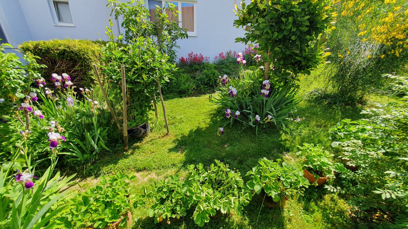 3 Zi.-ETW im EG mit Terrasse und Garage