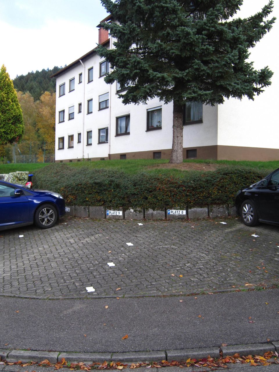 Renovierte 3 Zi.-Whg. mit EBK, Balkon & KFZ-PL.