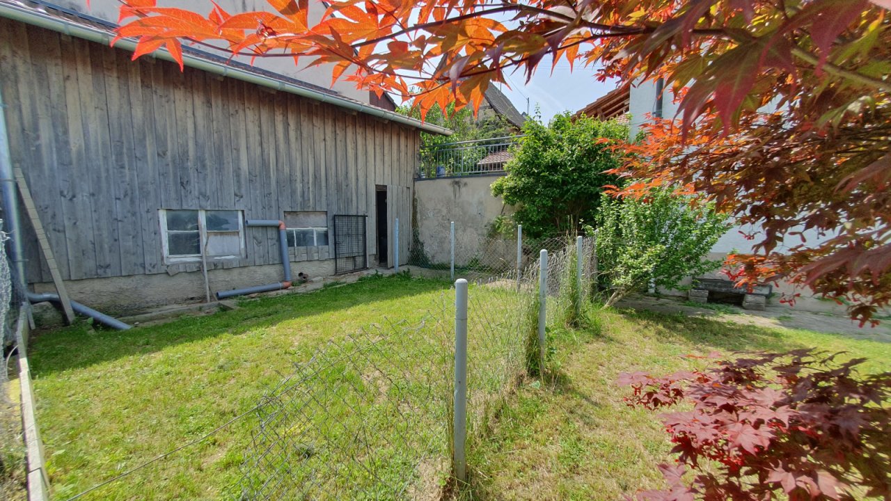 Freifläche Hühnerschopf