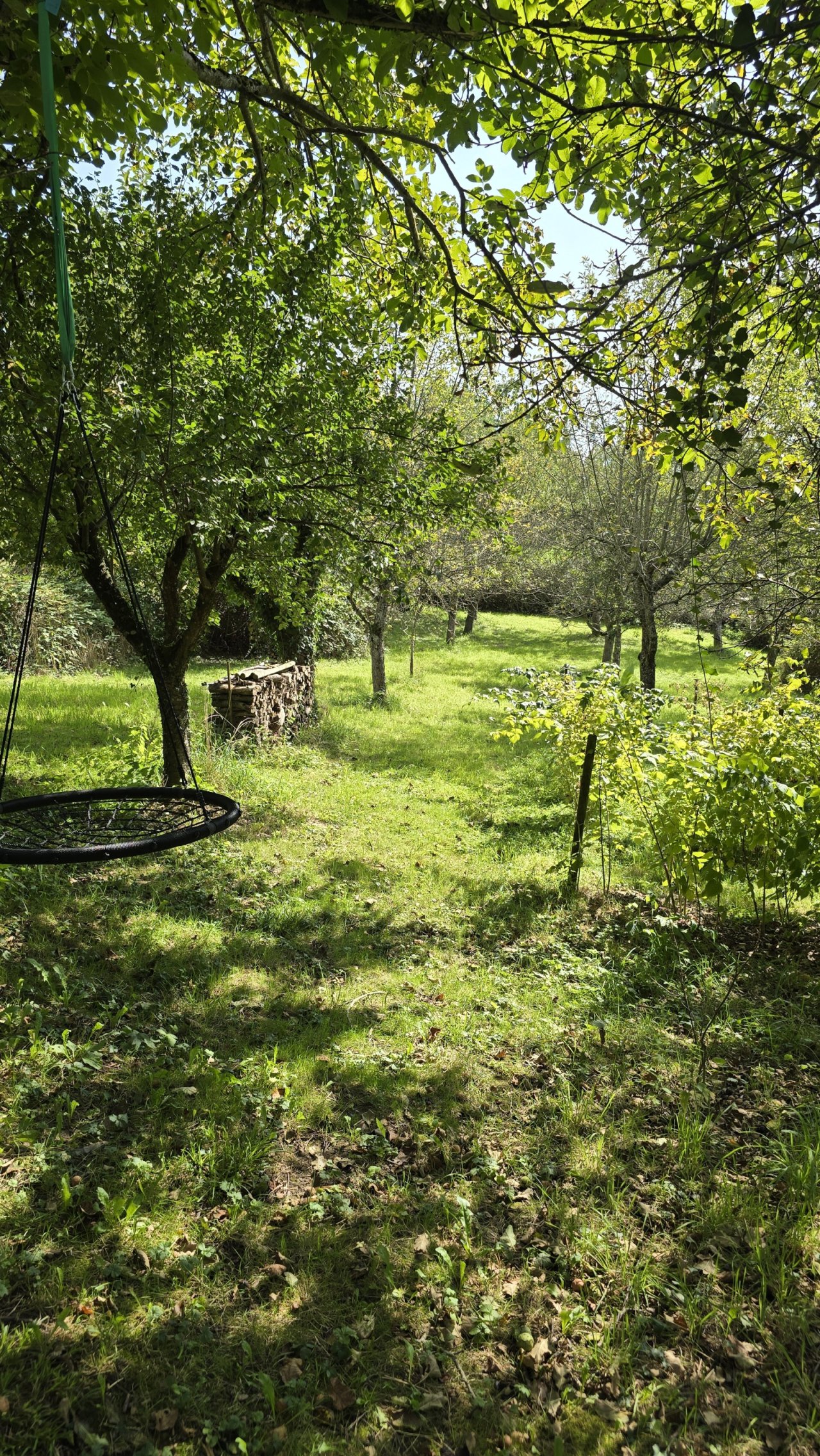 Obstbäume Obstbäume