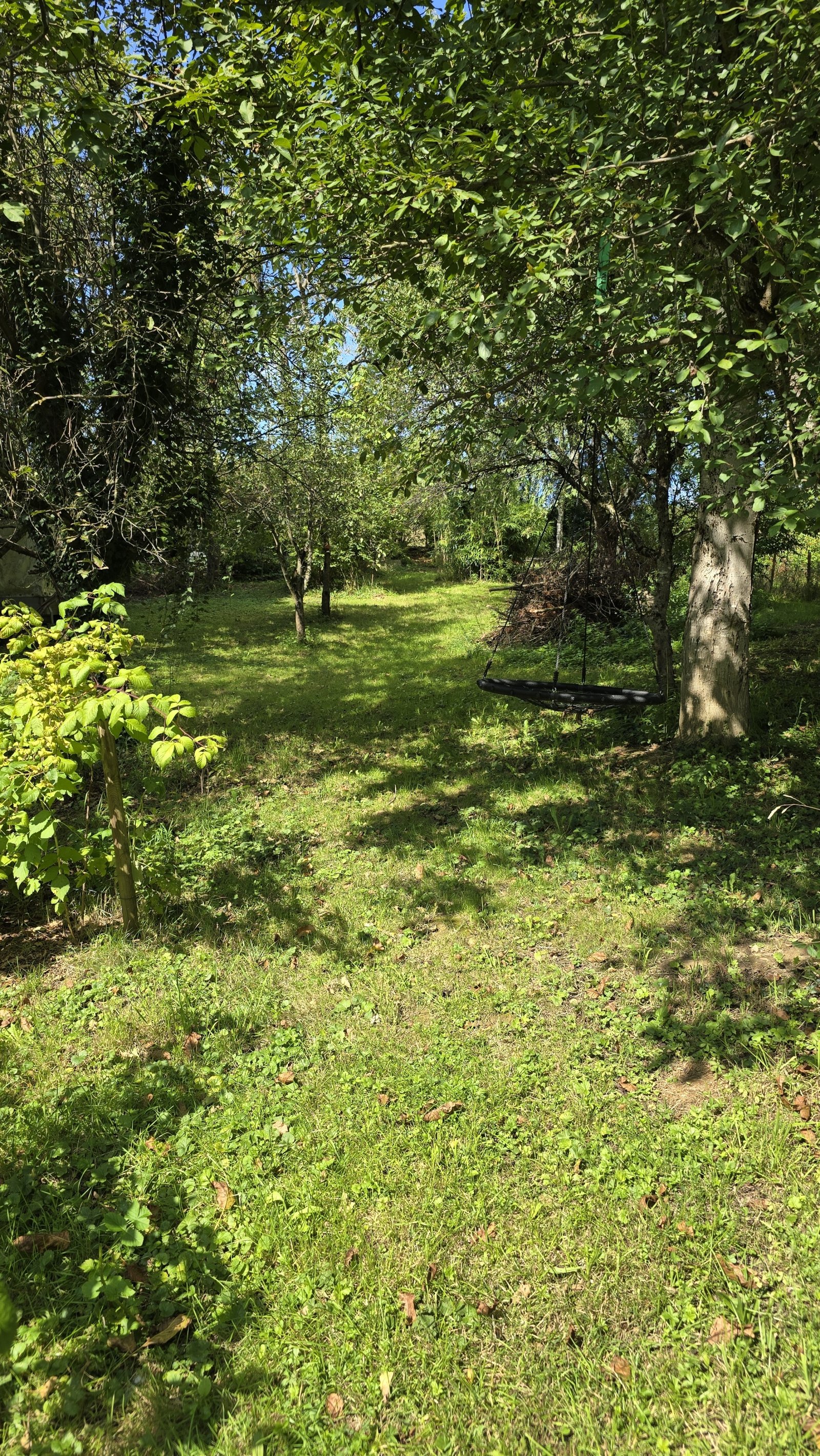 Obstbäume Obstbäume