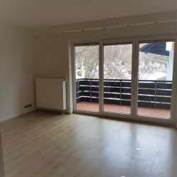 1 Zi.-Appartement mit Balkon 1 Zi.-Appartement mit Balkon