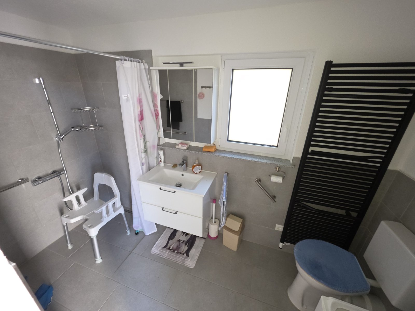 renovierte Dusche/WC, EG renovierte Dusche/WC, EG